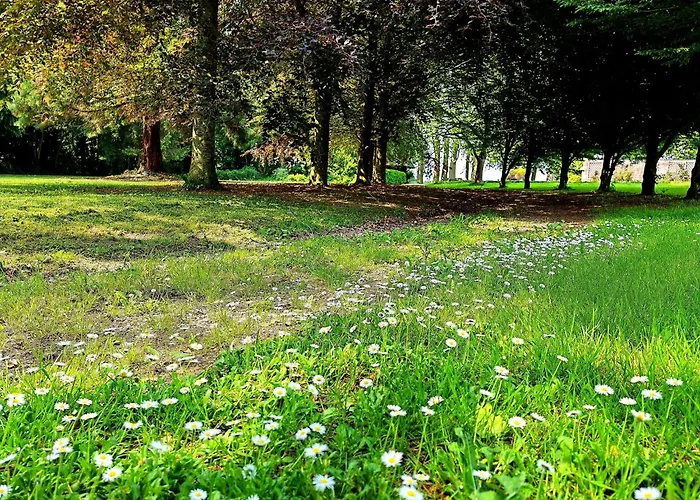 Domaine De L\'Isle Maniere
